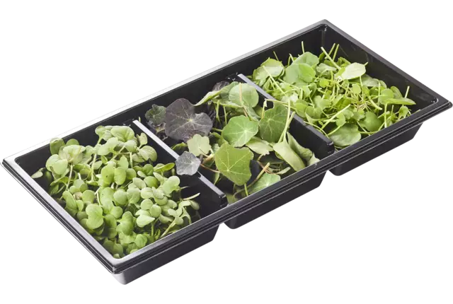 Trio de cresson épicé 45g pièce